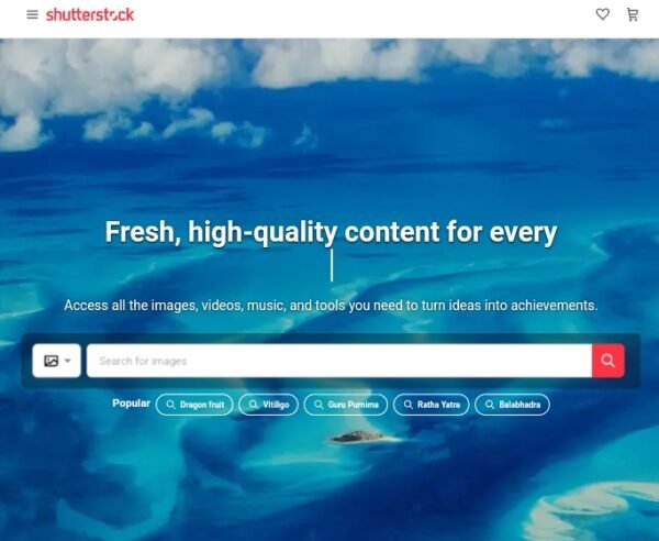 Shutterstock - e-commerce store example 